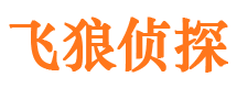 平果市婚外情调查